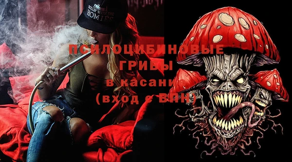 PSILOCYBIN Беломорск