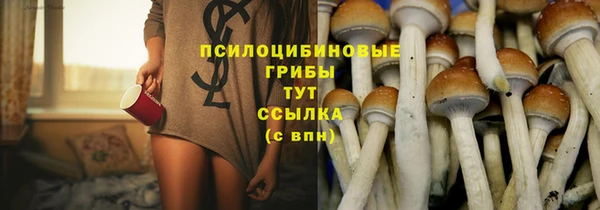 гидропоника Белокуриха