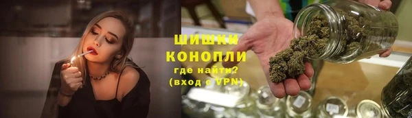 ПСИЛОЦИБИНОВЫЕ ГРИБЫ Белоозёрский