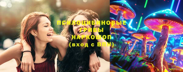 гидропоника Белокуриха