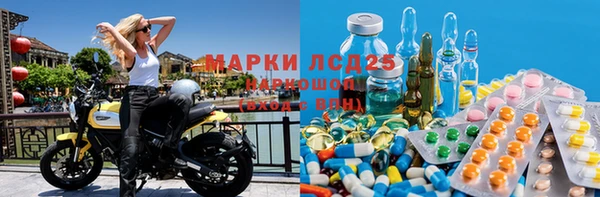 PSILOCYBIN Беломорск