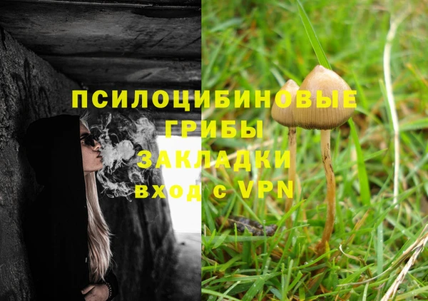 гидропоника Белокуриха