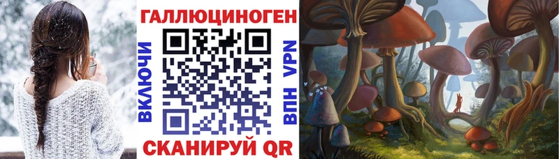 закладки  Светлогорск  Псилоцибиновые грибы мухоморы 